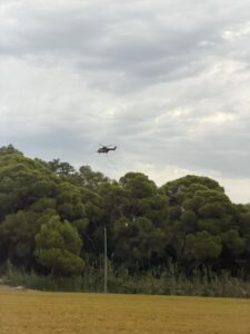 El incendio de El Saler frena su avance durante la noche 2 HQyiy2CXsAAehJt