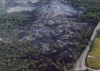La Policía Local traslada a las autoridades las pistas vecinales sobre el incendio de El Saler