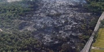 La Policía Local traslada a las autoridades las pistas vecinales sobre el incendio de El Saler