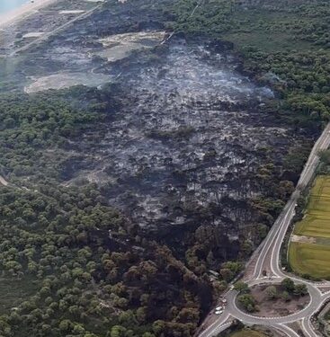 La Policía Local traslada a las autoridades las pistas vecinales sobre el incendio de El Saler