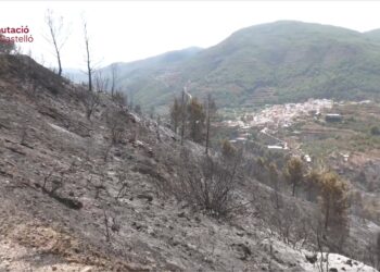 Controlado el incendio forestal de Segorbe tras una intensa labor del dispositivo de emergencias