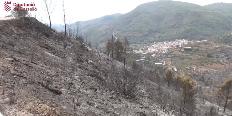 Controlado el incendio forestal de Segorbe tras una intensa labor del dispositivo de emergencias