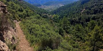 La Generalitat destina cerca de 400.000 euros a mejorar 24 senderos homologados en municipios en riesgo de despoblamiento