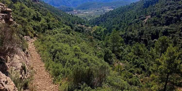 La Generalitat destina cerca de 400.000 euros para mejorar 24 senderos en municipios afectados por la despoblación 1 La Generalitat destina cerca de 400.000 euros a mejorar 24 senderos homologados en municipios en riesgo de despoblamiento