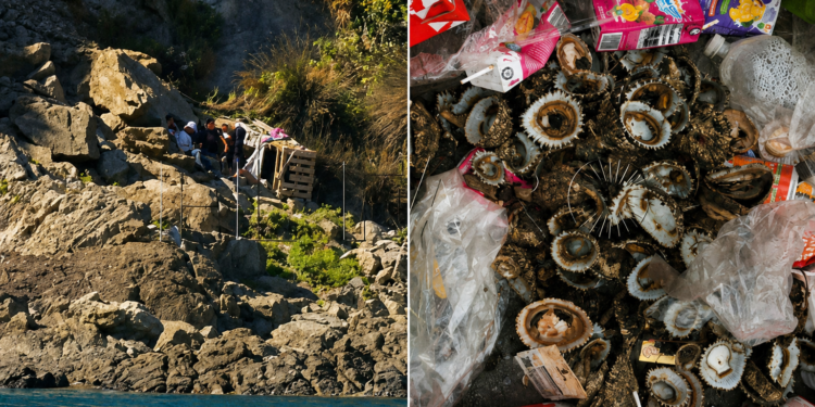 La entrada masiva en Ceuta amenaza también a la lapa Patella ferruginea, una de las especies más protegidas del Mediterráneo 1 La entrada masiva en Ceuta amenaza también a la lapa Patella ferruginea, una de las especies más protegidas del Mediterráneo