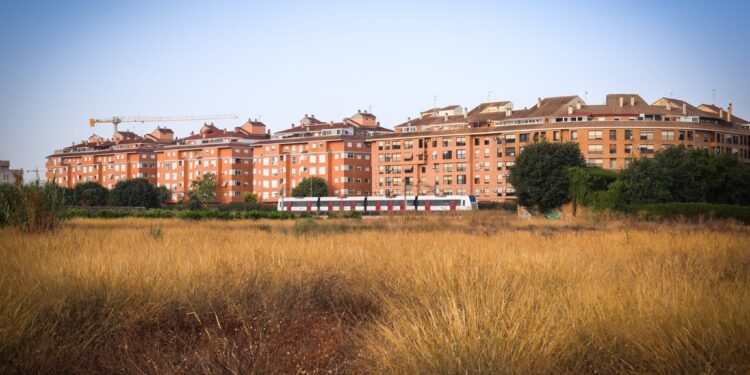 Torrent blinda su prevención de incendios con un nuevo contrato para la limpieza subsidiaria de parcelas privadas