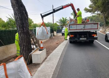 La Diputación de Alicante intensifica la limpieza de la Red Viaria Provincial para ayudar a prevenir incendios forestales
