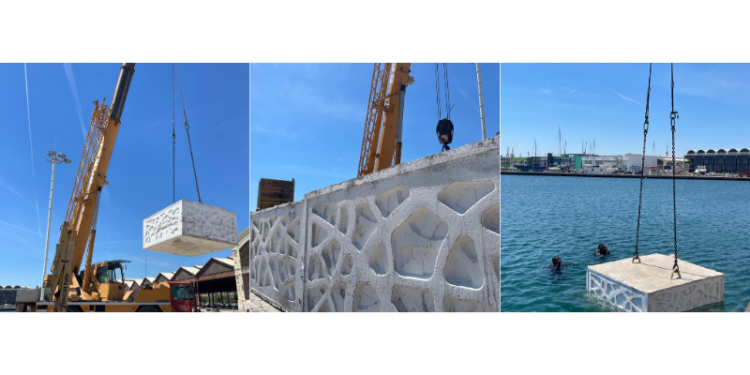 Marina Port Valencia incorpora sistemas de fondeo ecológicos en la renovación de sus amarres 1 Marina Port Valencia incorpora sistemas de fondeo ecológicos en la renovación de sus amarres