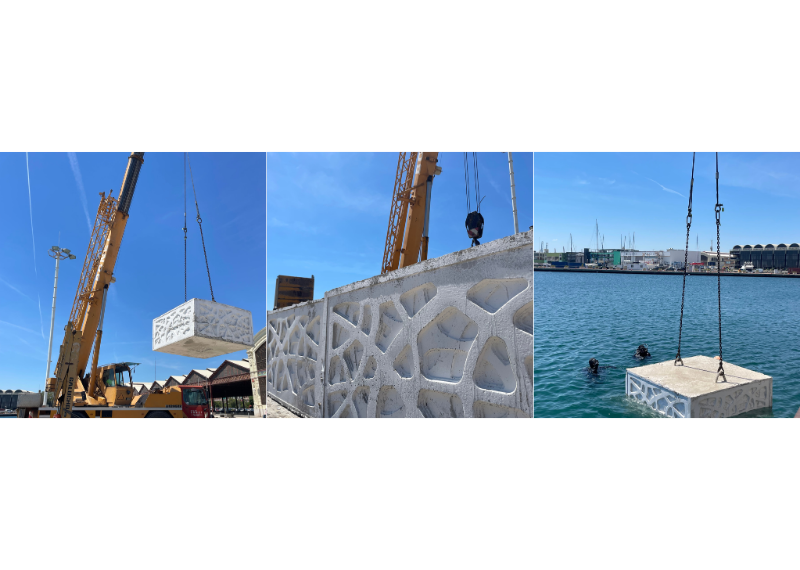 Marina Port Valencia incorpora sistemas de fondeo ecológicos en la renovación de sus amarres 1 Marina Port Valencia incorpora sistemas de fondeo ecológicos en la renovación de sus amarres