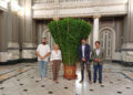 Una alfabega monumental de Betera ya puede visitarse en el Ayuntamiento de Valencia 1