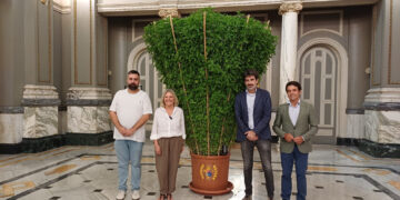 Una alfabega monumental de Betera ya puede visitarse en el Ayuntamiento de Valencia 1