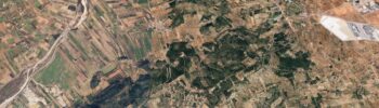 Los bomberos movilizan medios terrestres y aéreos ante un incendio de vegetación en La Vall d'Alba