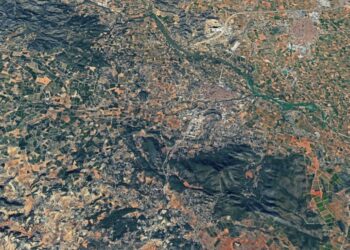 Un incendio forestal moviliza a los servicios de emergencia en una zona de pinos de Vilamarchant