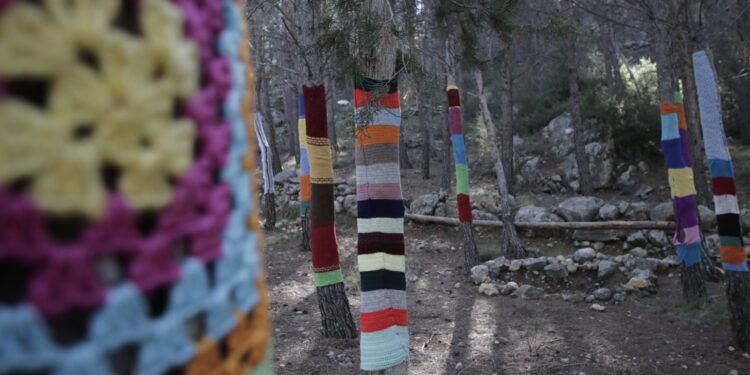 El bosque encantado de Valencia que parece sacado de un cuento y es perfecto para visitar con niños 1 WhatsApp Image 2023 01 09 at 17.48.55