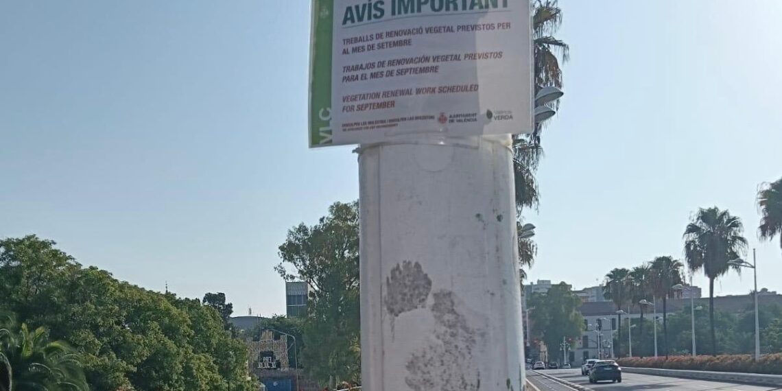 El Gobierno de Catalá anuncia que un mes más seguirá la pésima imagen del Puente de Rita Barberá