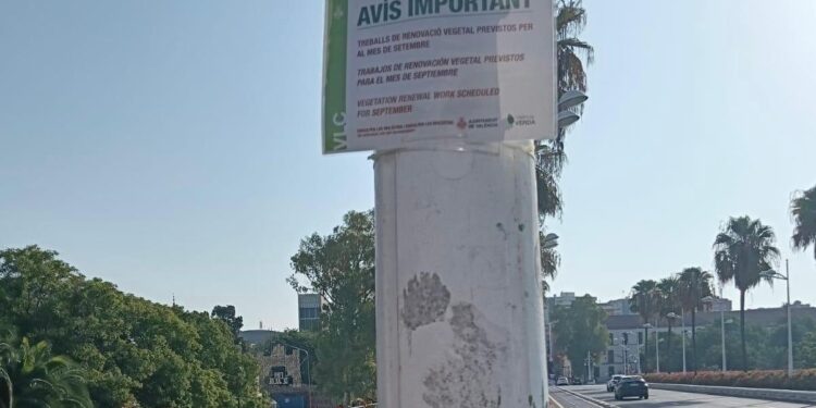 El Gobierno de Catalá anuncia que un mes más seguirá la pésima imagen del Puente de Rita Barberá 1 El Gobierno de Catalá anuncia que un mes más seguirá la pésima imagen del Puente de Rita Barberá