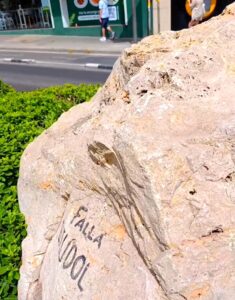 El Cudol de Torrefiel: de un accidente fortuito en 1972 a s&iacute;mbolo de la dignidad vecinal