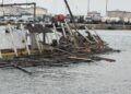 Un buque de Grimaldi destroza dos históricas bateas clochineras en el puerto de Valencia