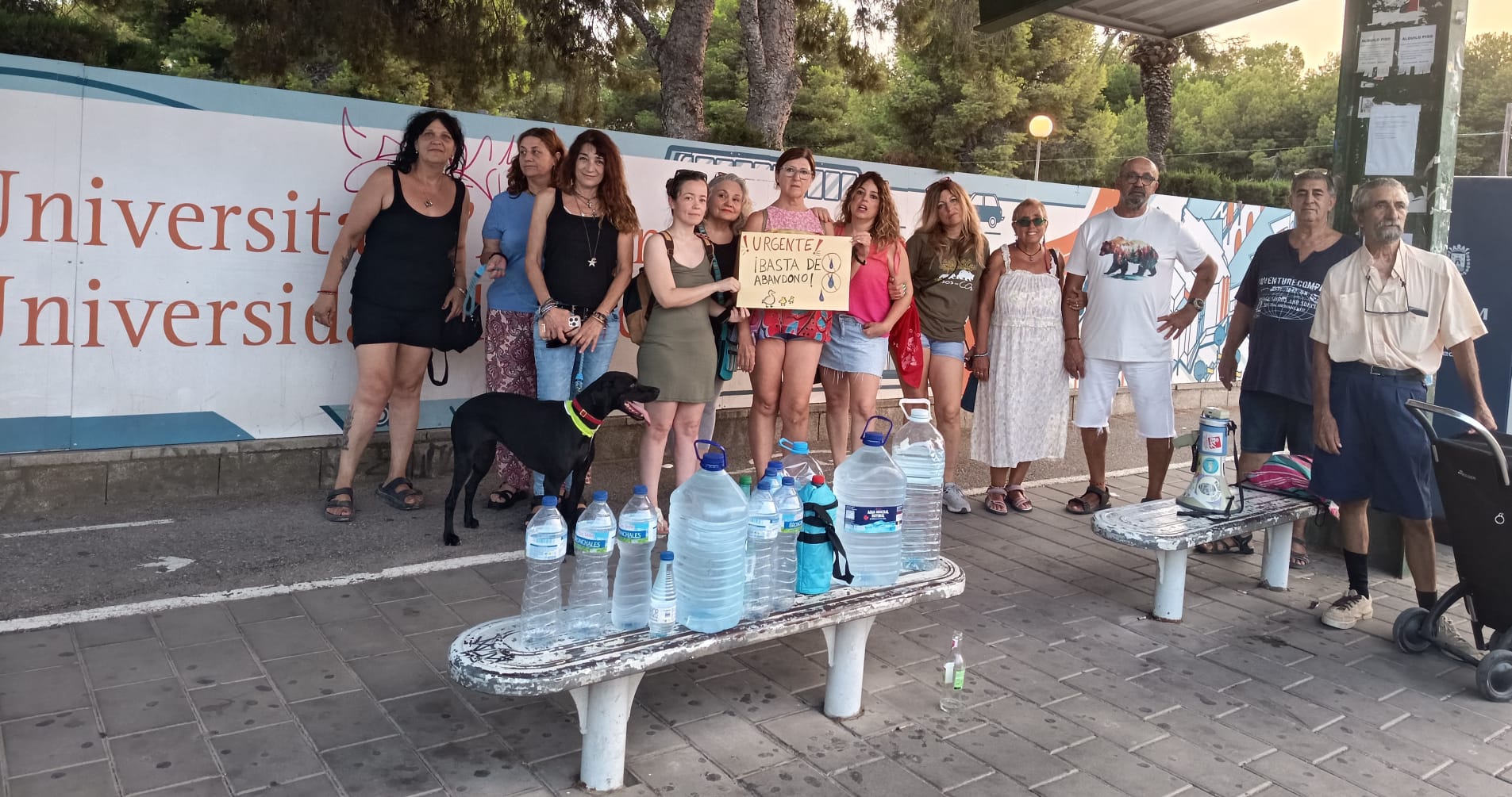 Cero en bienestar animal: la Plataforma Defensa Animal denuncia el abandono de decenas de patos en la Universidad de Alicante 2 WhatsApp Image 2026 08 10 at 14.19.421