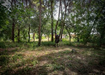 El Ayuntamiento de Torrent ha puesto en marcha un plan intensivo de mantenimiento y prevención de incendios forestales en los principales pulmones verdes del término municipal. La Brigada Forestal Permanente está llevando a cabo labores estratégicas de poda, desbroce y tala selectiva en áreas emblemáticas como El Vedat y la Serra Perenxisa, así como en cauces de barrancos, caminos y franjas perimetrales próximas a parcelas privadas e infraestructuras. Para hacer frente a los meses de mayor riesgo estival, el dispositivo habitual se ha visto reforzado con la incorporación de 30 trabajadores agrícolas (24 peones y 6 capataces) contratados a través del programa de empleo SEPE Zonas Rurales Deprimidas 2026. Esta iniciativa, gestionada en colaboración con la empresa municipal IDEA’T y el Servicio Público de Empleo Estatal, permite desplegar trabajos de utilidad pública entre julio y septiembre, combinando la inserción laboral con la conservación medioambiental. Actuaciones integrales en masa forestal y barrancos Las intervenciones se centran en reducir la carga vegetal de combustible y eliminar vegetación enferma o con riesgo de caída. Entre las tareas que realiza el equipo destacan: Control de vegetación y biomasa: Poda de arbolado en altura, desbroce selectivo de matorral y tala de ejemplares secos o inestables. Tratamientos específicos: Control fitosanitario frente a plagas como la procesionaria del pino y erradicación de especies invasoras como la caña. Adecuación de espacios públicos: Limpieza de sendas, señalética y mantenimiento de áreas recreativas. Protección de cauces: Limpieza y adecuación de los diversos barrancos del municipio. Apuesta por la prevención continua La alcaldesa de Torrent, Amparo Folgado, ha subrayado la trascendencia de mantener un esfuerzo continuado durante los doce meses del año: "La prevención es una de las herramientas más importantes que tenemos para proteger nuestro entorno natural y, al mismo tiempo, garantizar la seguridad de nuestros vecinos. Contar con una brigada forestal permanente nos permite actuar de manera más rápida y planificada, detectando las necesidades antes de que llegue una situación de mayor riesgo". En relación al refuerzo de verano, Folgado valoró la doble vertiente del programa de empleo: "Combina la creación de empleo para personas del sector agrario con actuaciones necesarias para cuidar nuestros espacios naturales y reducir riesgos ante incendios e inundaciones". Por su parte, el concejal de Medio Ambiente, José Gozalvo, remarcó que las actuaciones priorizan las zonas de mayor vulnerabilidad: "No se trata únicamente de actuar cuando existe un problema, sino de mantener un trabajo preventivo y constante. Las intervenciones en áreas forestales próximas a viviendas y propiedades privadas resultan esenciales para mejorar la seguridad vecinal". Torrent refuerza la prevención de incendios forestales en El Vedat y la Serra Perenxisa con un operativo especial de verano