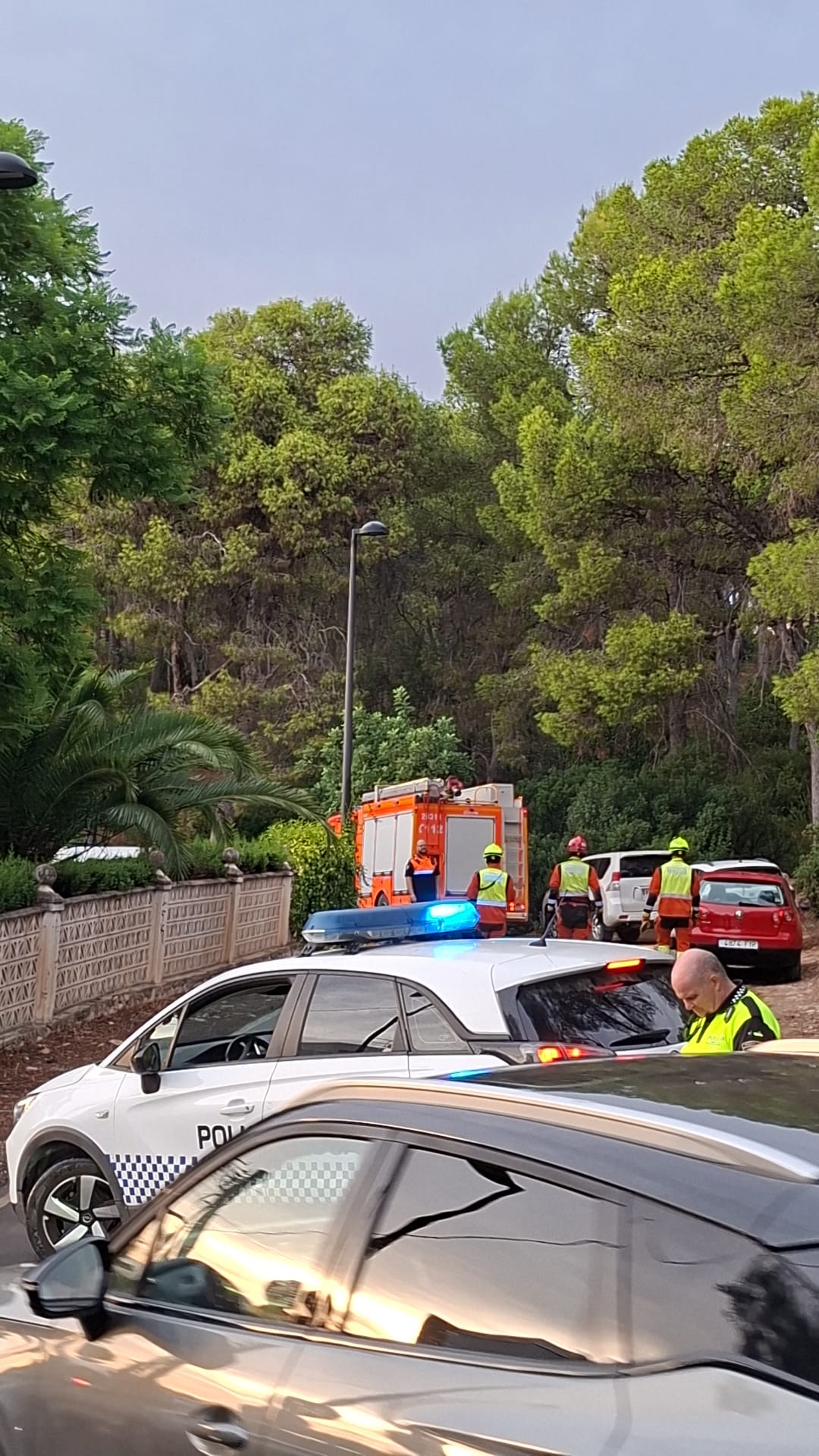 Susto en el Vedat de Torrent: la rápida actuación policial y municipal sofoca un conato de incendio provocado por un rayo 3 WhatsApp Image 2026 08 15 at 22.08.24