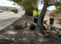A fondo y calle a calle: Torrent pone a punto la limpieza de sus polígonos industriales este verano