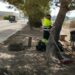 A fondo y calle a calle: Torrent pone a punto la limpieza de sus polígonos industriales este verano