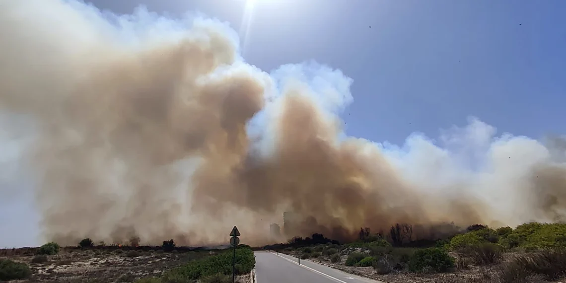 Fuego en el corazón de El Saler, llamas en la Gola de Pujol 1 Las llamas vuelven a amenazar El Saler, Incendio en la Gola de Pujol