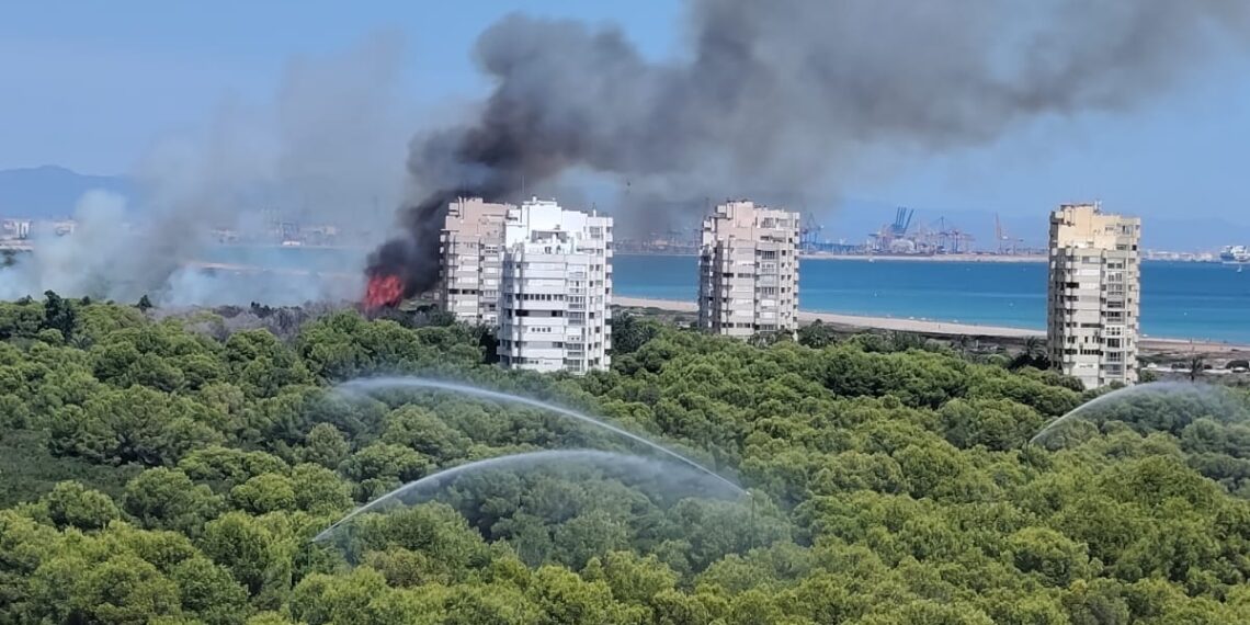 El incendio en la Devesa de El Saler obliga a activar la Situación 1 y recomendar el confinamiento por humo