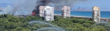 El incendio en la Devesa de El Saler obliga a activar la Situación 1 y recomendar el confinamiento por humo