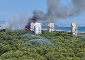 El incendio en la Devesa de El Saler obliga a activar la Situación 1 y recomendar el confinamiento por humo 27 El incendio en la Devesa de El Saler obliga a activar la Situación 1 y recomendar el confinamiento por humo