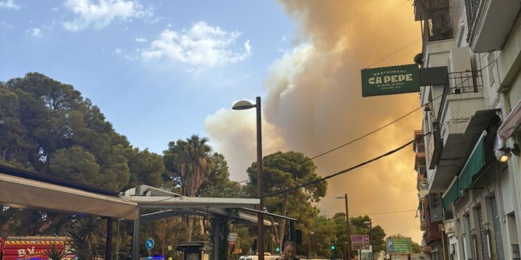Guardia Civil coordina el desalojo del Saler y EMT Valencia envía autobuses para evacuar a las personas 1 Guardia Civil coordina el desalojo del Saler y EMT Valencia envía autobuses para evacuar a las personas