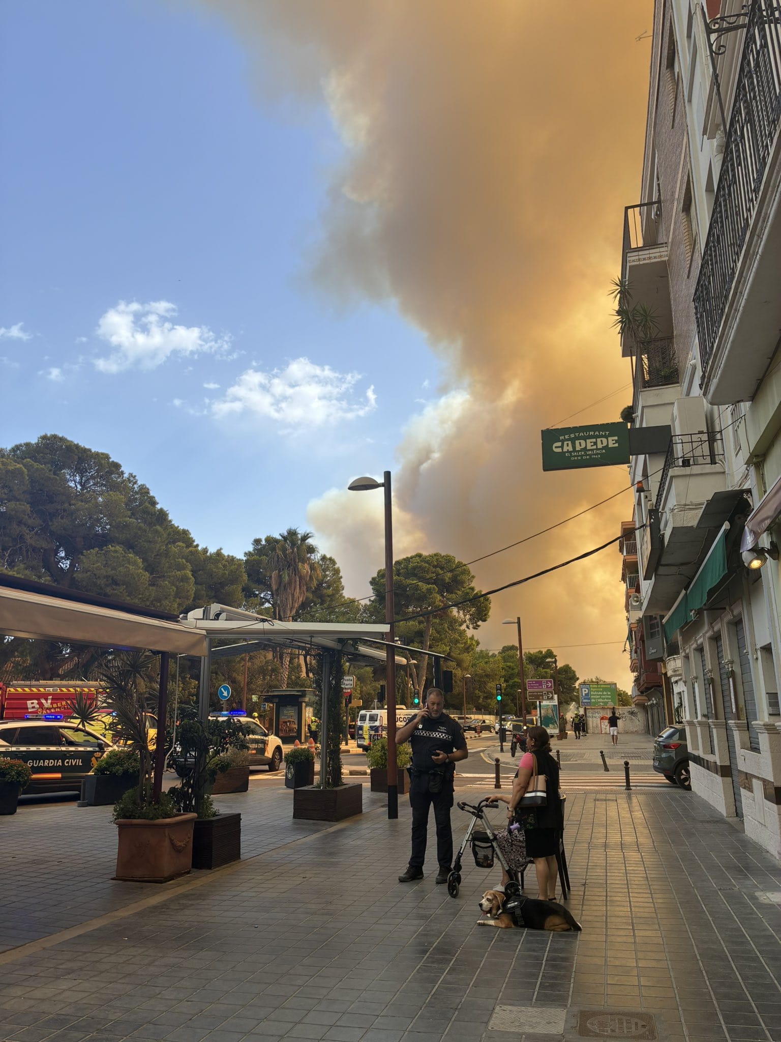 El Incendio del Saler se complica, se activa a la UME y desaloja a los vecinos del Saler y a campistas 4 Guardia Civil coordina el desalojo del Saler y EMT Valencia envía autobuses para evacuar a las personas