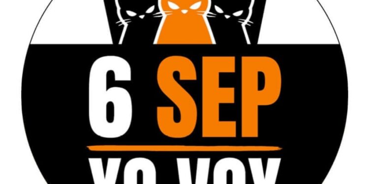 Gestoras de colonias felinas se manifestarán en 38 ciudades para exigir el cumplimiento de la ley
