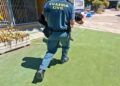 Investigados los propietarios de una escuela canina en Navalcarnero por un delito de maltrato animal