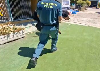 Investigados los propietarios de una escuela canina en Navalcarnero por un delito de maltrato animal
