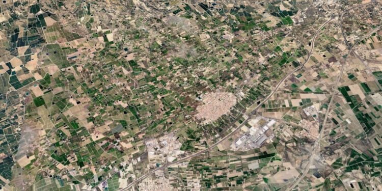 Se declara un incendio de vegetación en Albatera y despliega a los efectivos de emergencia 1 Se declara un incendio de vegetación en Albatera y despliega a los efectivos de emergencia