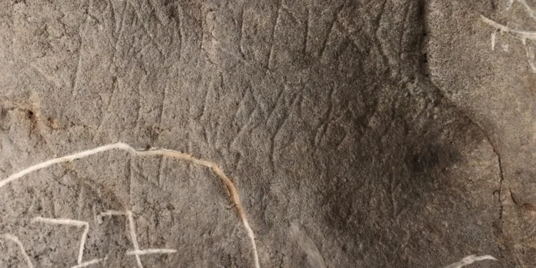La Cova de les Dones de Millares, nominada a los premios de National Geographic por su santuario romano 1 bc1ae757 854d 40a5 bfcd 6abcff5510fe 16 9 aspect ratio 1600w 0