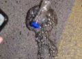 Alarma en Ceuta por el lanzamiento de dispositivos inflamables en incidentes callejeros 10 Alarma en Ceuta por el lanzamiento de dispositivos inflamables en incidentes callejeros