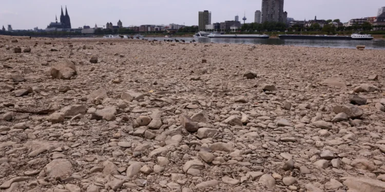 La sequía y el calor ponen en jaque al centro de Europa: el Rin y el Danubio alcanzan niveles críticos 1 e343b1e9 3b1e 44c7 88df df88216158c0 16 9 aspect ratio 1600w 0