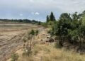 El campo valenciano exige su parte de los 120 millones de la UE tras los golpes de la DANA y el clima