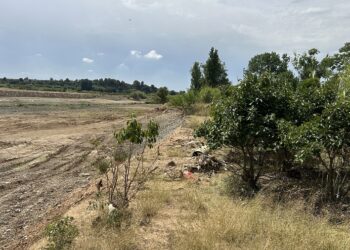 El campo valenciano exige su parte de los 120 millones de la UE tras los golpes de la DANA y el clima