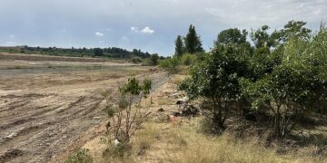 El campo valenciano exige su parte de los 120 millones de la UE tras los golpes de la DANA y el clima
