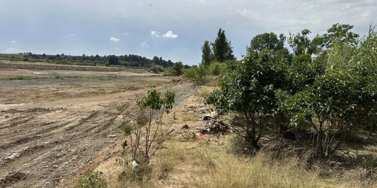 El campo valenciano exige su parte de los 120 millones de la UE tras los golpes de la DANA y el clima