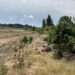 El campo valenciano exige su parte de los 120 millones de la UE tras los golpes de la DANA y el clima