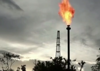 gasolina petroleo gasolinera 3