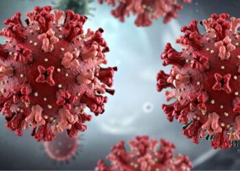 El Ministerio de Sanidad confirma un caso importado de hantavirus Andes en Galicia y descarta riesgo de contagio activo 14 El Ministerio de Sanidad confirma un caso importado de hantavirus Andes en Galicia y descarta riesgo de contagio activo