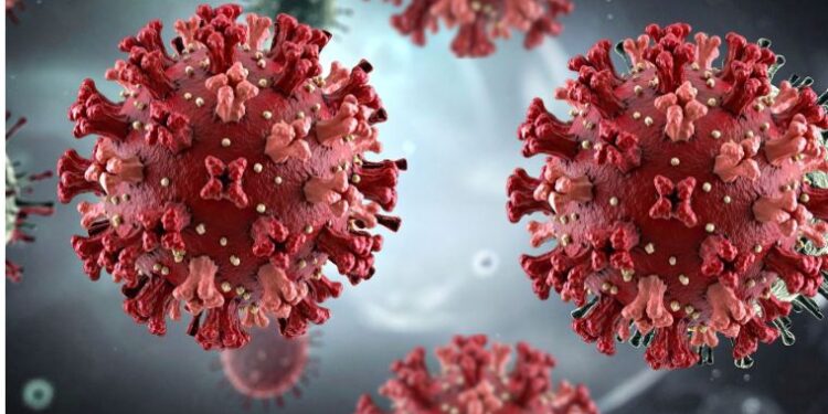 El Ministerio de Sanidad confirma un caso importado de hantavirus Andes en Galicia y descarta riesgo de contagio activo 1 El Ministerio de Sanidad confirma un caso importado de hantavirus Andes en Galicia y descarta riesgo de contagio activo