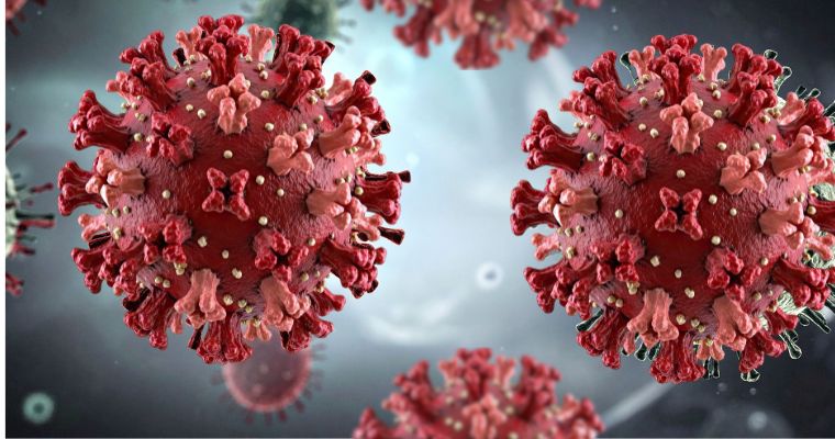 El Ministerio de Sanidad confirma un caso importado de hantavirus Andes en Galicia y descarta riesgo de contagio activo 1 El Ministerio de Sanidad confirma un caso importado de hantavirus Andes en Galicia y descarta riesgo de contagio activo