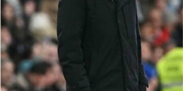 images 23